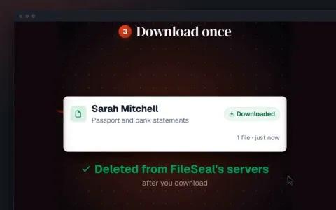 FileSeal's demo: a client's passport and bank statements marked downloaded, then deleted from FileSeal's servers